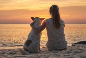a woman and a dog watching the sunset