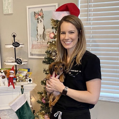 Merry-Christmas-puppy woman wearing santa hat holding small dog in room with christmas decorations